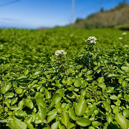 Σπίτι διακοπών La Berrera