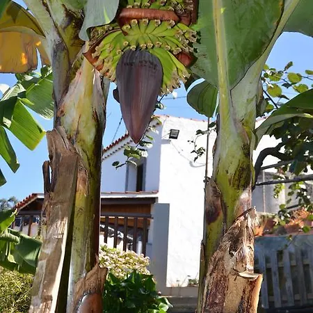 La Berrera Dom wakacyjny Firgas